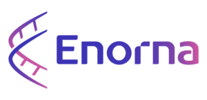 Enorna logo